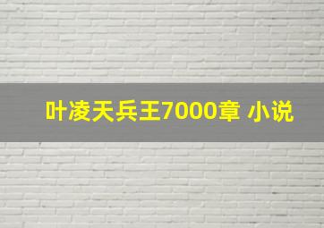 叶凌天兵王7000章 小说